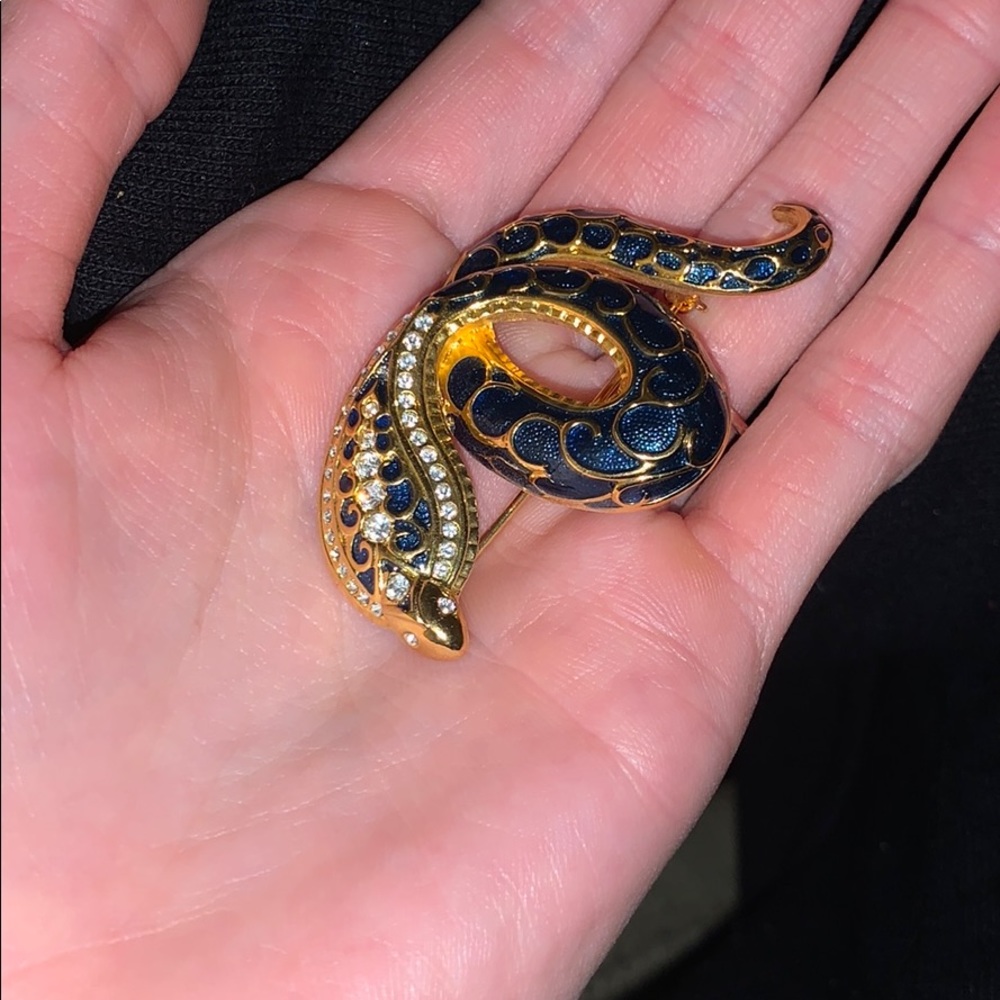 Two unique fashion pins.